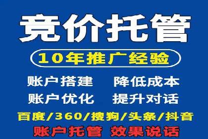 百度竞价排名实战：某行业领先企业的成功之路